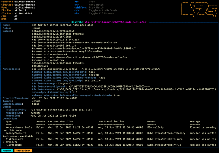 K9s describe node view